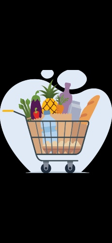 Groceries 