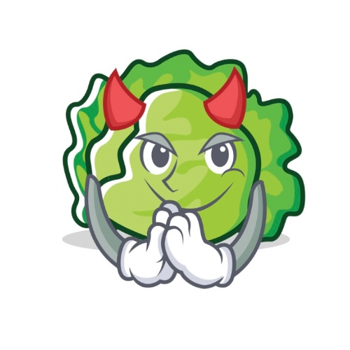 👀🌿