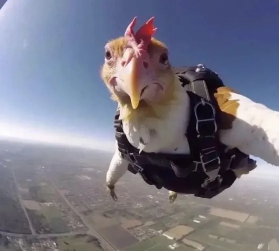 Skydiving (DREAMMMM)