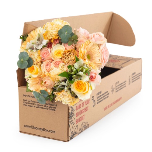 Bloomsy Deluxe - 12 Month Prepay