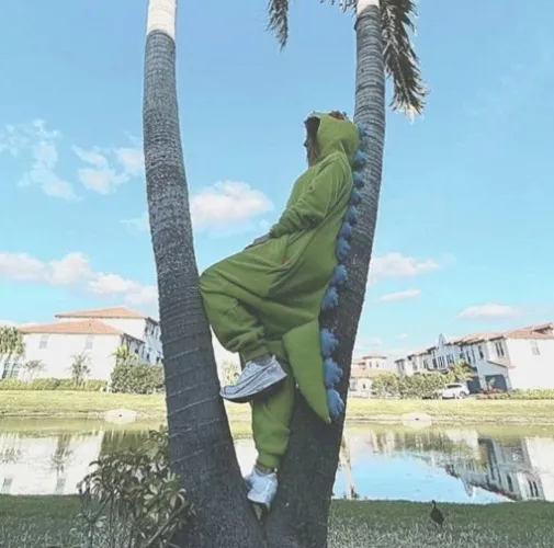 Cozy Onesie | Reptar