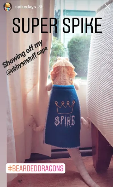 Bearded Dragon Name with Crown Cape