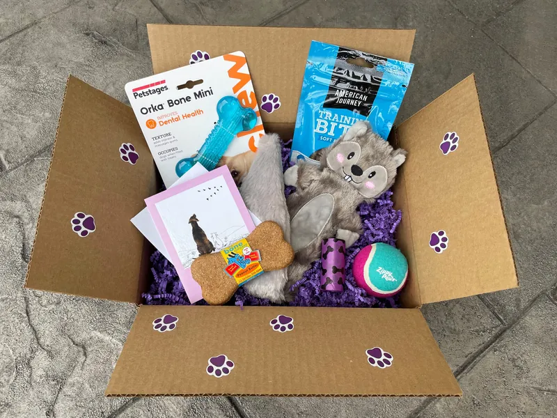 Puppy Parcel - New Puppy gift box - SIX treats/toys!