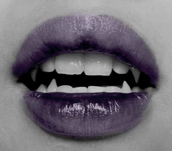 Lunch ˙ . ꒷ 🍰 . 𖦹˙—