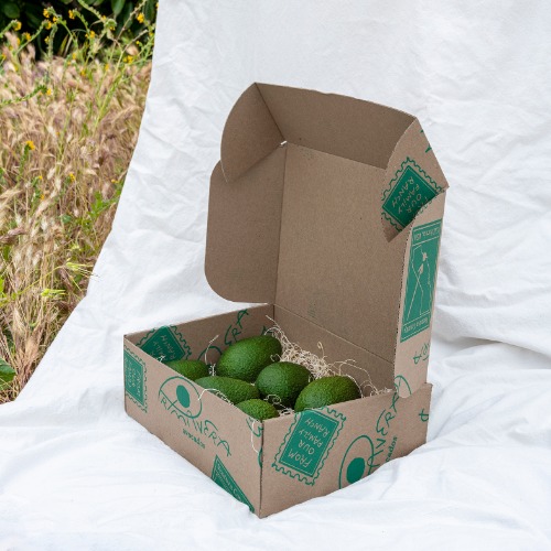 Primavera Avocado Box | Default Title