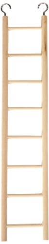Wooden ladder