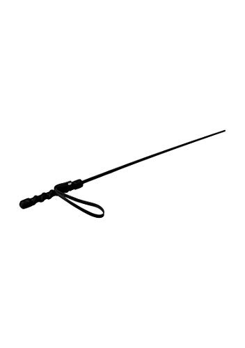Mistress by Isabella Sinclaire Intense Impact Cane, Black