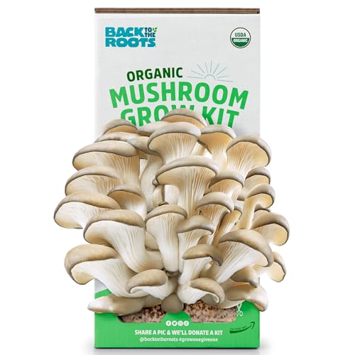 Back to the Roots Organic Mushroom Growing Kit. DIY Indoor Organic Oyster Mushroom Farm. Grow Edible Mushrooms at Home for Gourmet Cooking. Perfect Cooking Gift - 1 Count (Pack of 1)