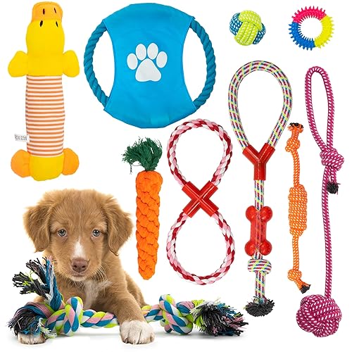 Fur & Bone 10 Pack Dog Chew Toys | Puppy Toys Dog Toys for Boredom | Indestructible Dog Toys with Rope Toys, Squeaky Toy | Dog Toy, Dog Teething Toys for Small & Medium Dogs | Dog - 10 Pack