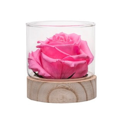 Flower Delivery - Hydrated To Lasts 4 Months - Fragrant Taif Rose