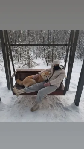 Food for my dog Kevin