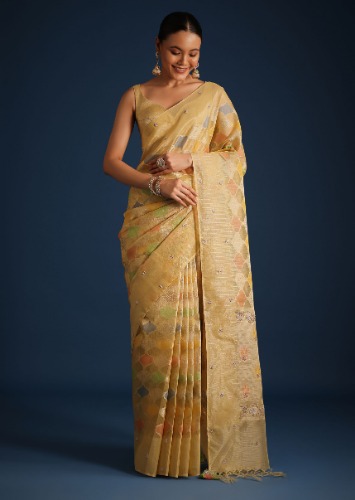 Gold Tissue Chanderi Rangkart Saree with Zardosi Work