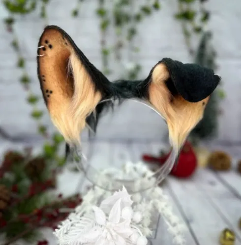 Brown and Tan Puppy Dog Ears