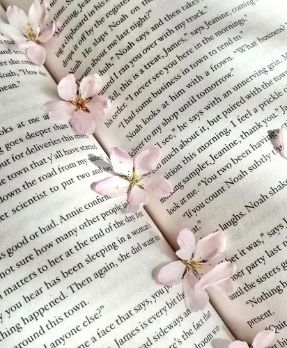 a book 𖹭