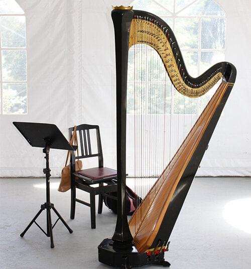 Harp Lessons