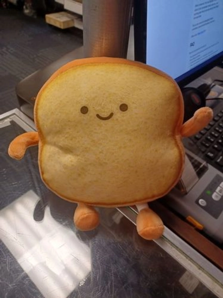 Toastie Mood Pillow and Sling Bag (4 VARIANTS, 4 SIZES)