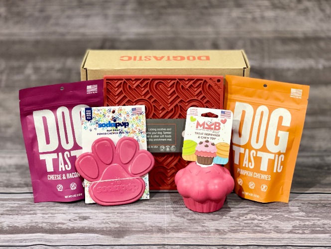 Birthday Cupcake Bundle Box for Chewing and Enrichment - Large