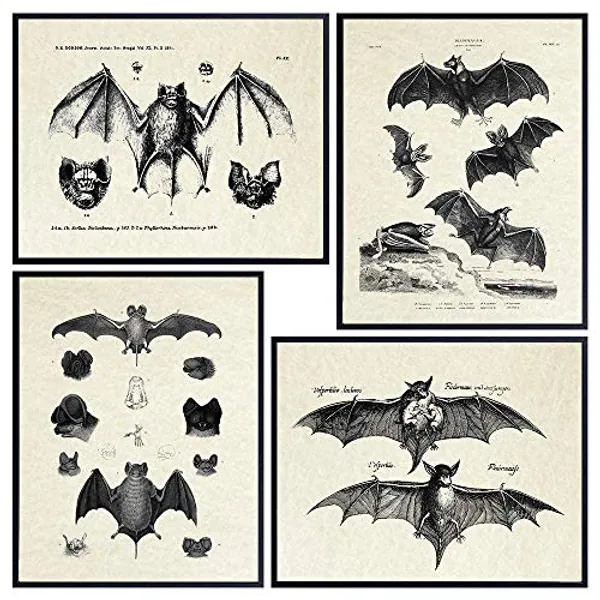 Bats Wall Decor - Vintage Retro Hipster Goth Art, Home or Room Decoration - Gift for Gothic, Horror, Vampire Fans - 8x10 UNFRAMED Creepy Scary Anatomical Picture Poster Print Set