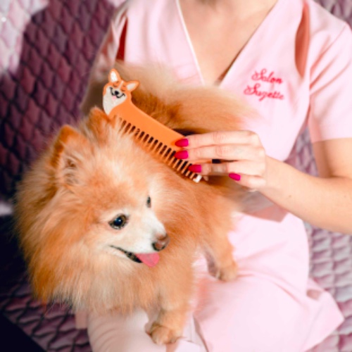 Corgi Comb | Default Title