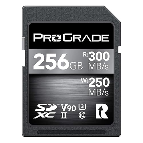 ProGrade Digital SDXC UHS-II V90 300R Memory Card (256GB) - 256Go