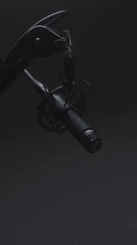 The vocal mic