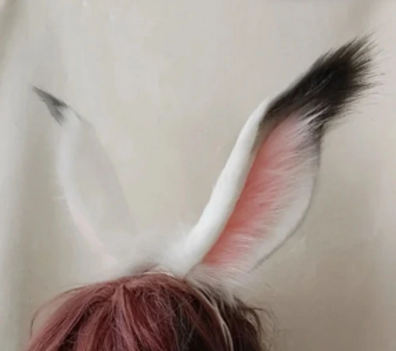 Bunny Ears