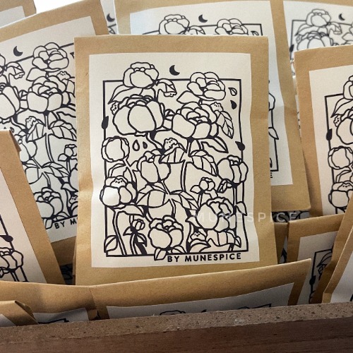 Mystery Pin Bags ✿ 3 Enamel Pins Included | Munespice