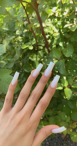 Monthly manicure expenses