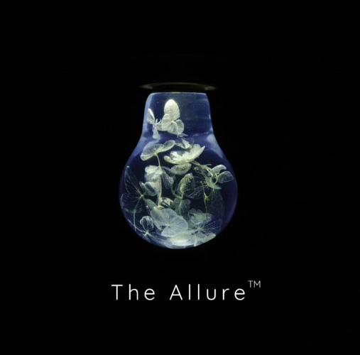 The Allure™ | The Allure™ / Vintage Lamp Base (ROSE GOLD)