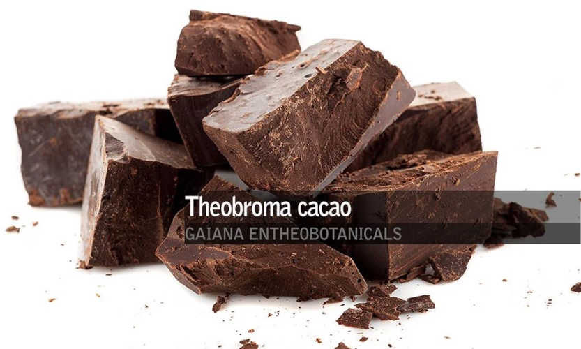 Peruvian Ceremonial Cacao Paste, Organic Theobroma cacao Criollo Cacao, Premium Grade Cacao paste Liquor, Raw BIO Non-GMO Cacao Chunks