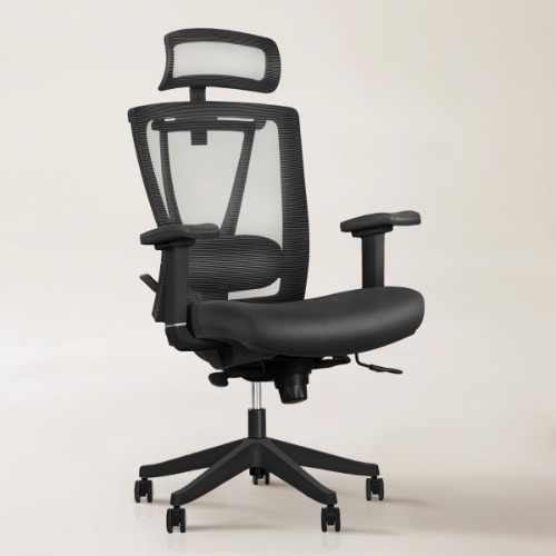 Aery Ergonomic Chair - Black