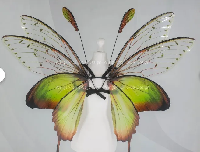 Fairy Wings