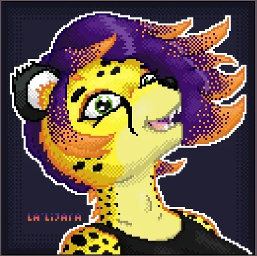 A Nice Introduction ❤️