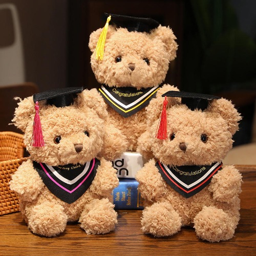 Graduation Bear Plush Toy Gift | 2 / 23cm