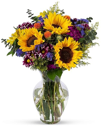 Benchmark Bouquets Flowering Fields, Glass Vase Included, Gift Fresh Flowers for Valentine’s Day, Birthday, Anniversary, Get Well, Sympathy, Congratulations, Thank You, Just Because
