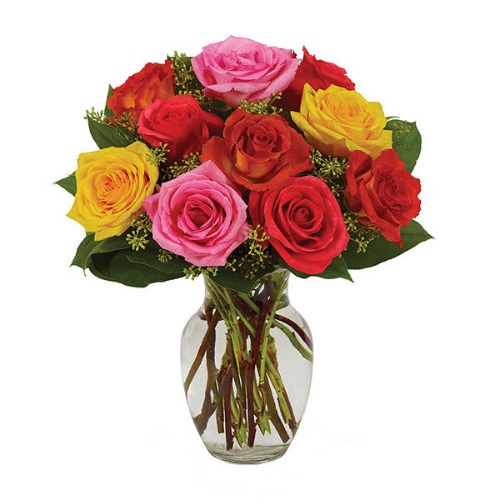 Assorted Roses - Bright - Assorted Roses - Bright / BF230-11KS