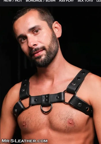 Silver Snap Bulldog Harness