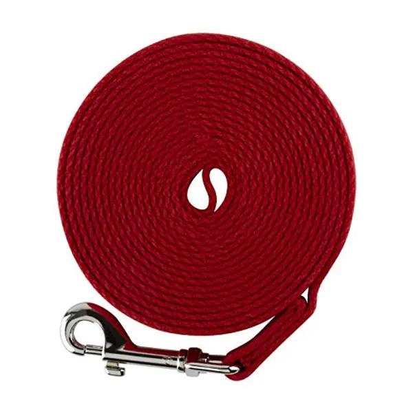 Interpet Mikki Trainingsleine für Hunde und Welpen - Leichte Wanderleine aus Baumwoll-Canvas - 6 m lang