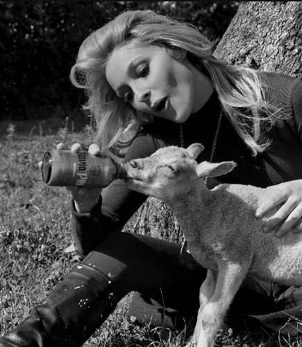 Pretend I’m your Rilo Kiley date