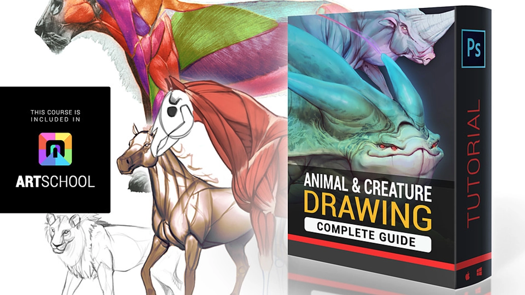 Animal & Creature Drawing - COMPLETE GUIDE on Cubebrush.co