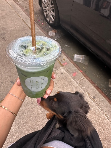 MATCHA