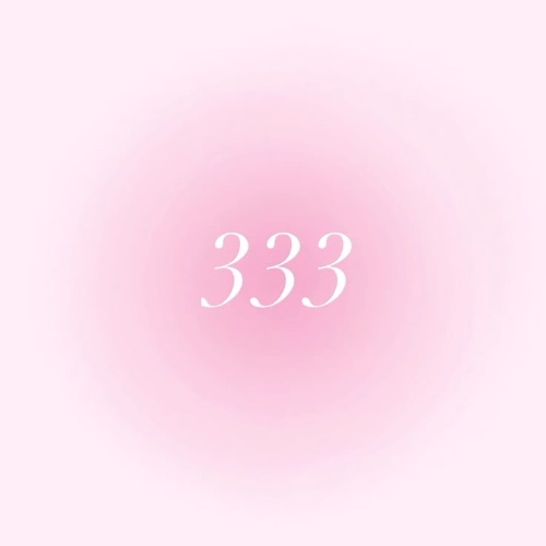 333€ “gift card” ˚ʚ♡ɞ˚