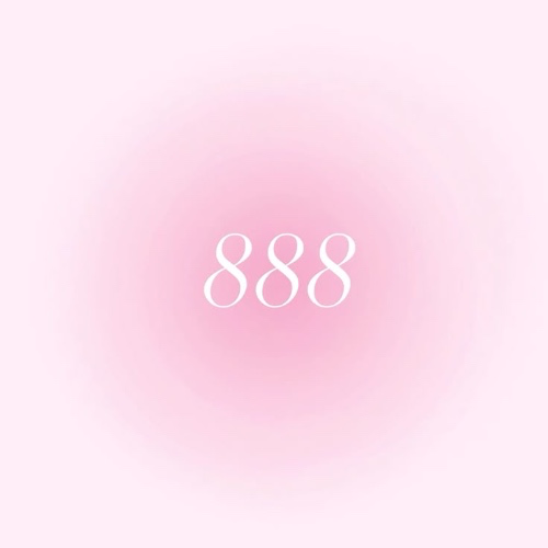 888€ “gift card” ˚ʚ♡ɞ˚