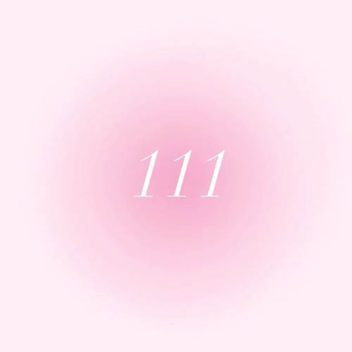 111€ “gift card” ˚ʚ♡ɞ˚