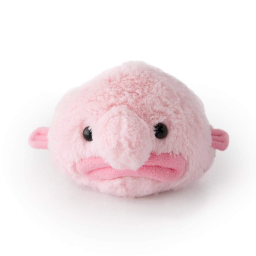 Stuffed Blobfish Plush - Mini - 