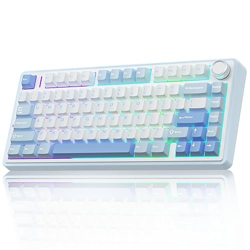 AULA F75 75% Wireless Mechanical Keyboard,Gasket Hot Swappable Custom Keyboard,Pre-lubed Greywood Switch RGB Backlit Gaming Keyboard,2.4GHz/Type-C/BT5.0 Mechanical Keyboard (Salt White Blue) - Salt White Blue
