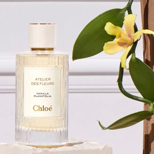 CHLOE VANILLA 50ml
