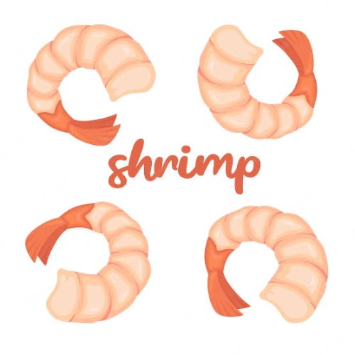 Shrimp