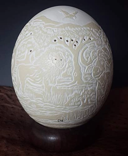 Decorative Ostrich Egg Etched With Vinegar
