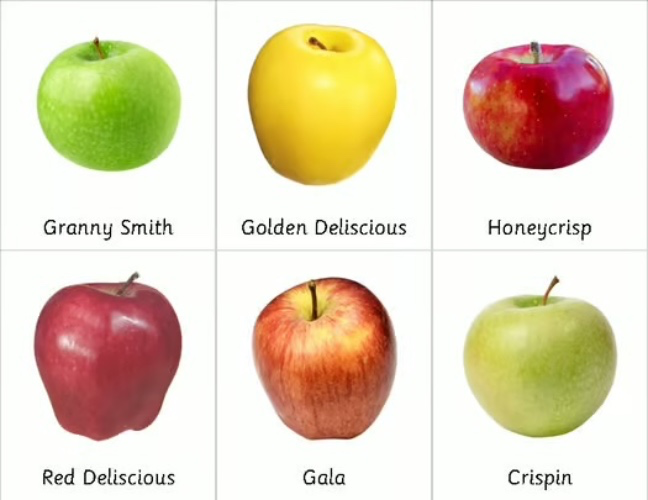 Apples